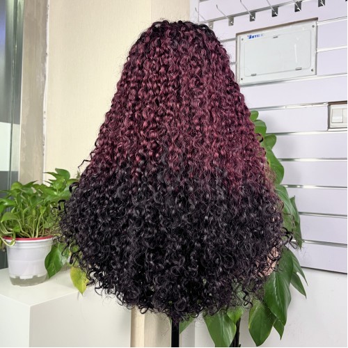 Ombre 5x5 Glueless Double Drawn Pissy Curl Transparent Lace Closure Wig | Human Hair Wig | Lace Front